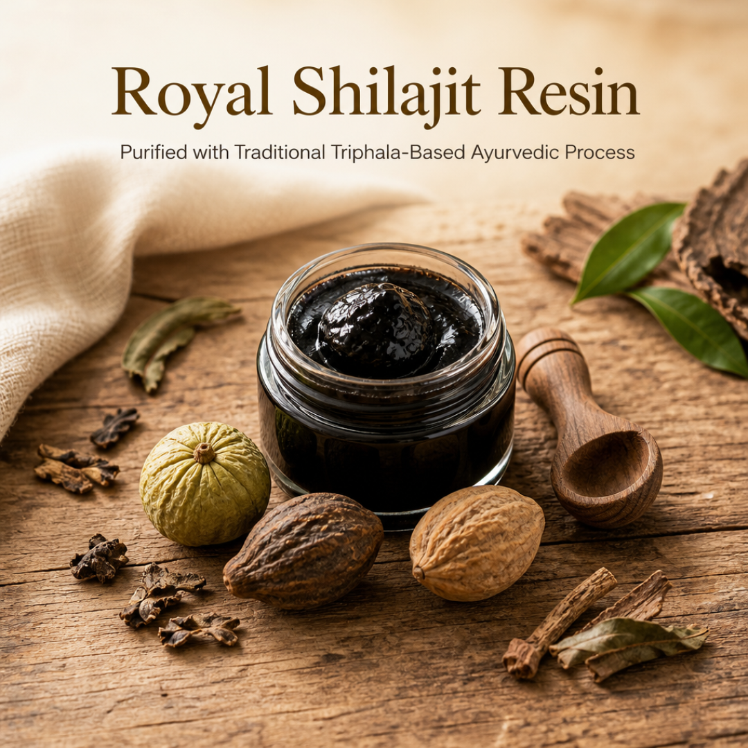 Dark mineral-rich Shilajit resin in a small glass jar beside dried Triphala fruits on a natural wooden surface, representing traditional Ayurvedic purification.